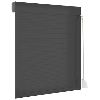 Roller Shutter Manual Anthracite 110 x 130 cm