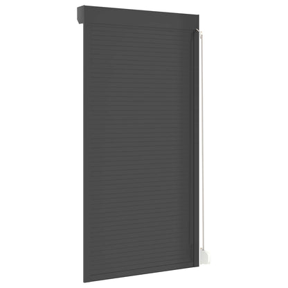 Roller Shutter Manual Anthracite 110 x 220 cm