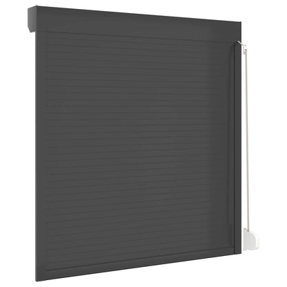 Roller Shutter Manual Anthracite 140 x 150 cm