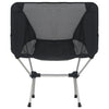 2x Folding Camping Chairs with Carry Bag 54x50x65 cm Aluminium