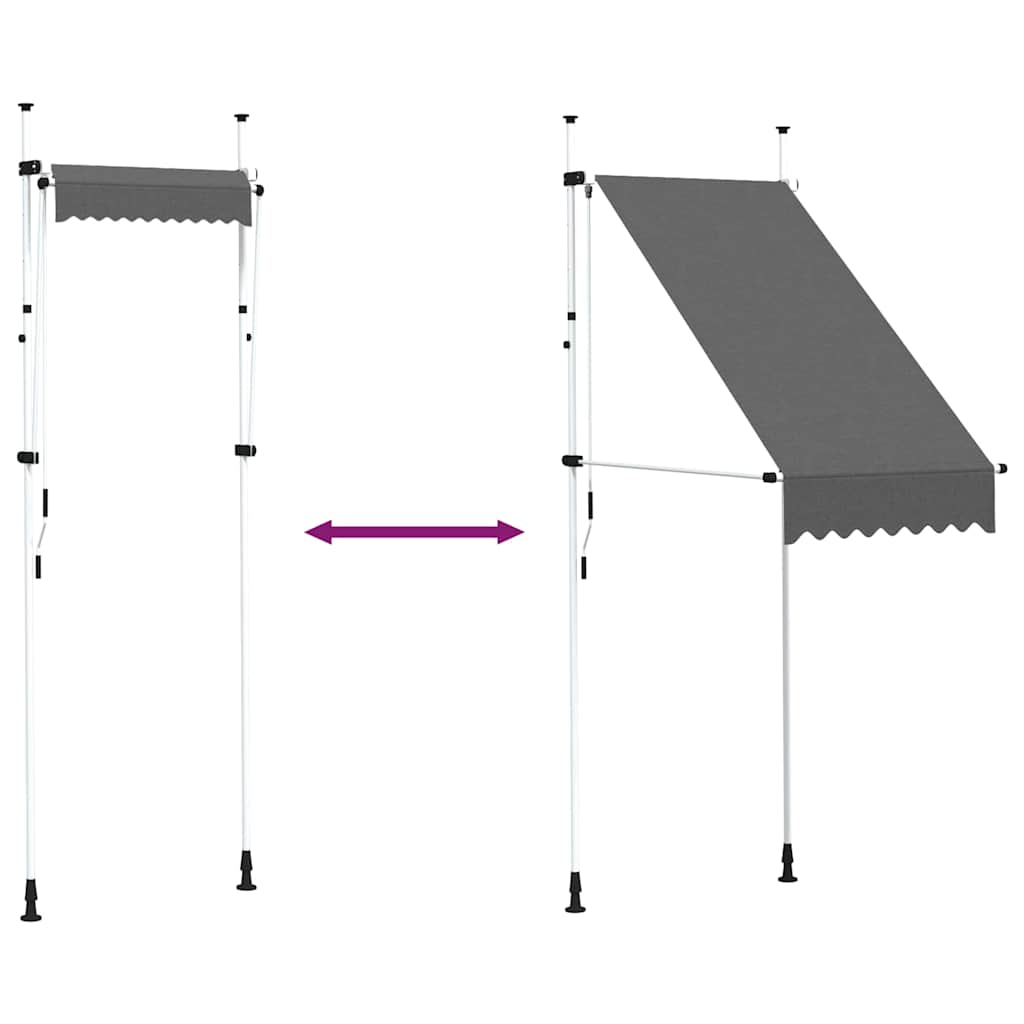 145832 vidaXL Manual Retractable Awning 100 cm Anthracite