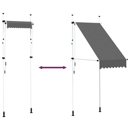 145832 vidaXL Manual Retractable Awning 100 cm Anthracite