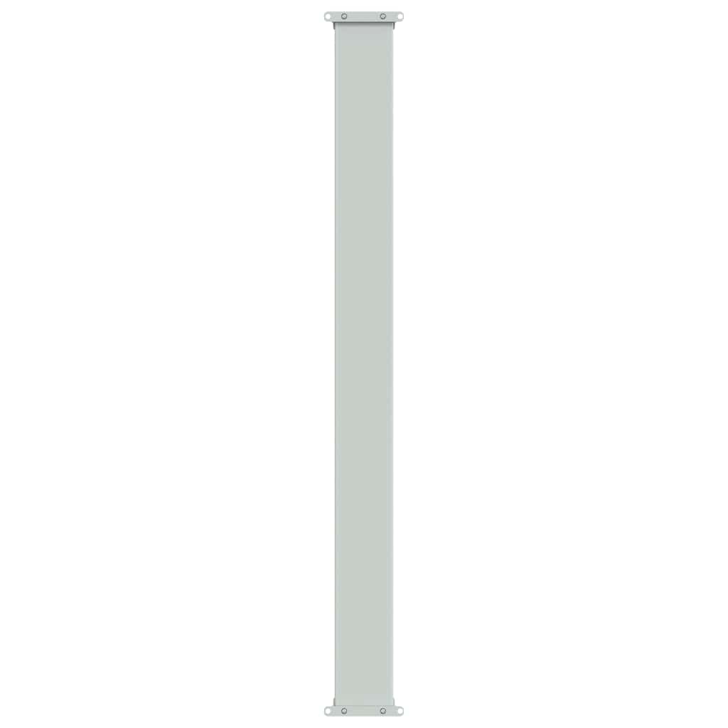 Patio Retractable Side Awning 100x300 cm Brown