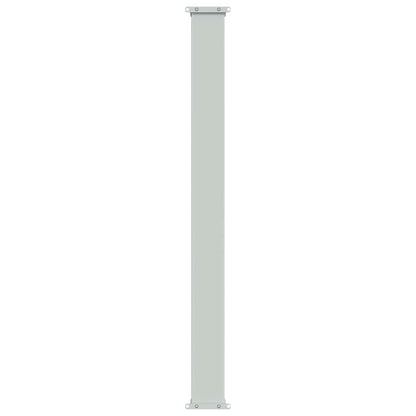 Patio Retractable Side Awning 100x300 cm Brown