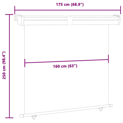 Balcony Side Awning | Black | Steel, aluminium, polyester | 175x250 cm