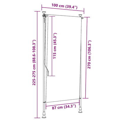 Outdoor Roller Blind 100x270 cm Anthracite