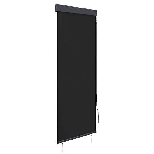 Outdoor Roller Blind 60x250 cm Anthracite