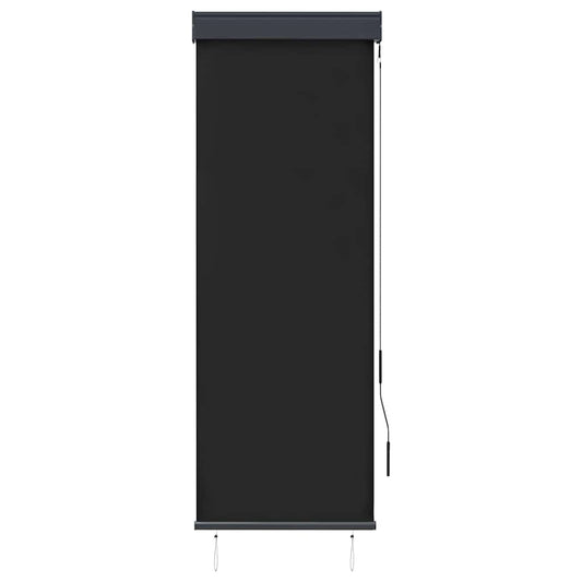 Outdoor Roller Blind 60x250 cm Anthracite
