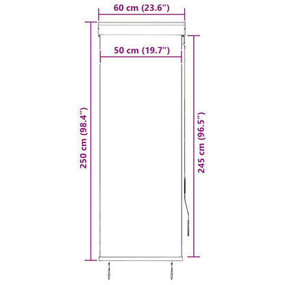 Outdoor Roller Blind 60x250 cm Cream