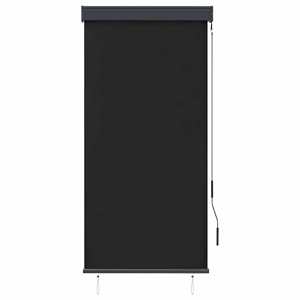 Outdoor Roller Blind 80x250 cm Anthracite