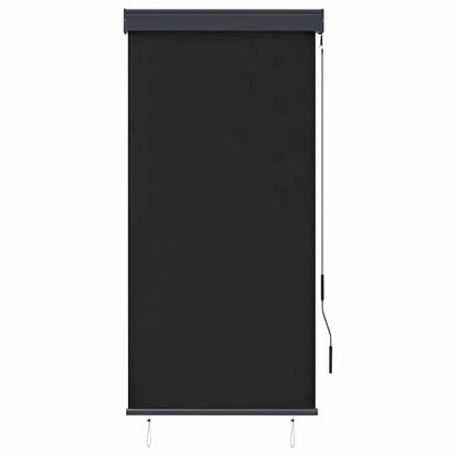 Outdoor Roller Blind 80x250 cm Anthracite