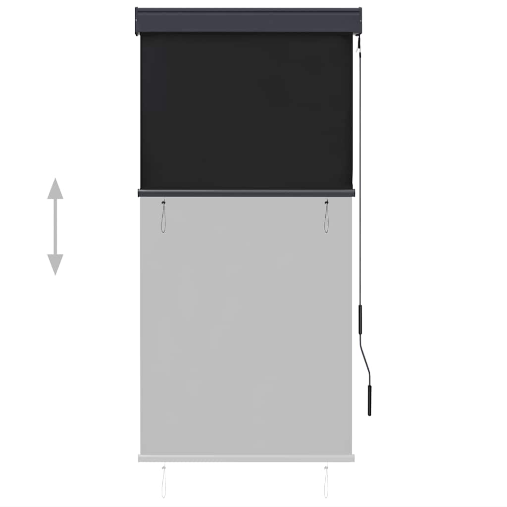 Outdoor Roller Blind 80x250 cm Anthracite