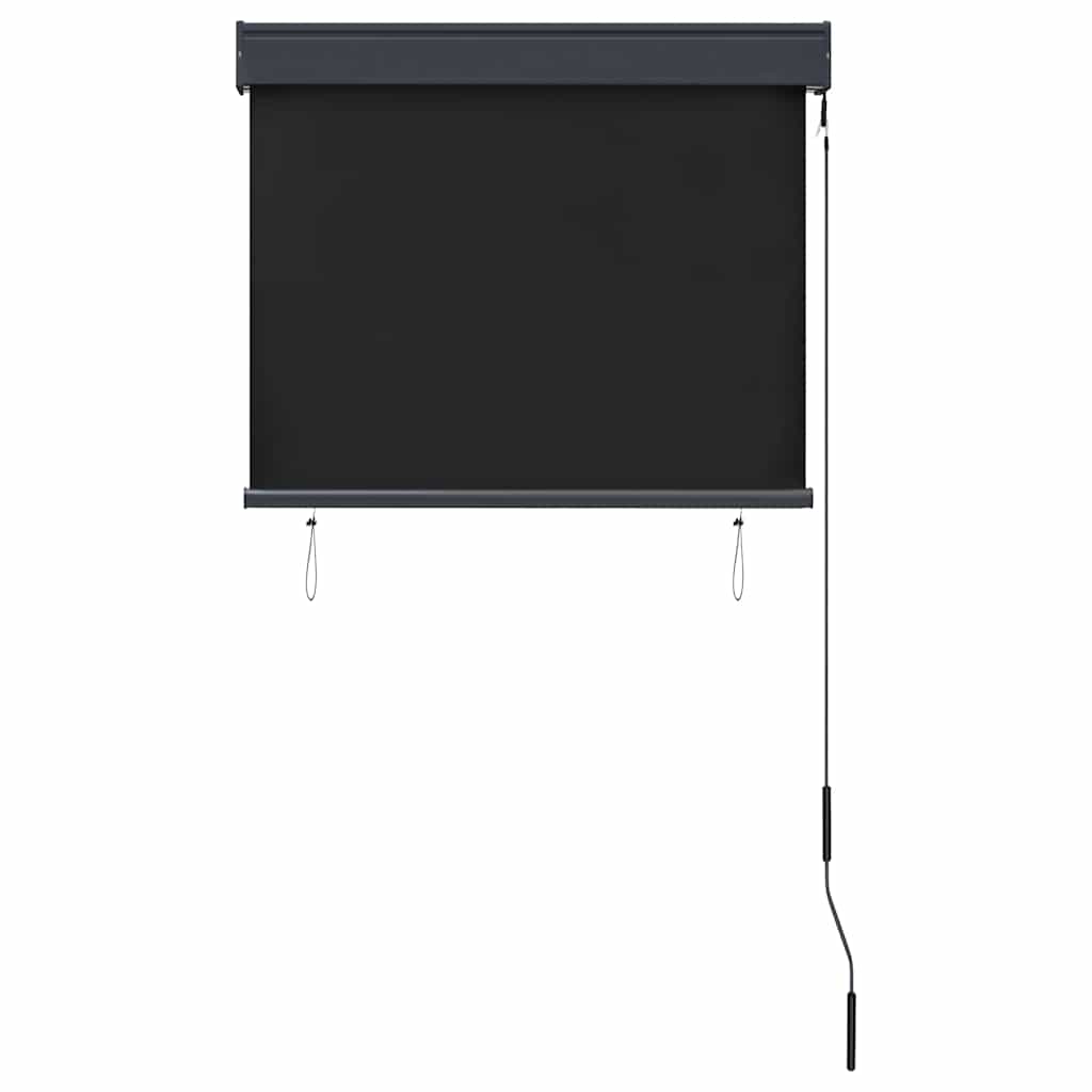 Outdoor Roller Blind 80x250 cm Anthracite