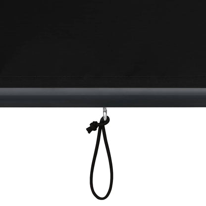 Outdoor Roller Blind 80x250 cm Anthracite