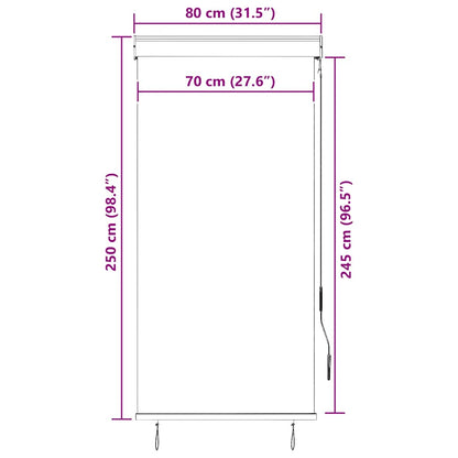 Outdoor Roller Blind 80x250 cm Anthracite