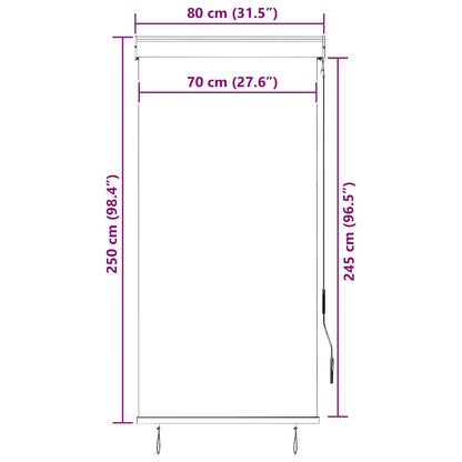 Outdoor Roller Blind 80x250 cm Cream