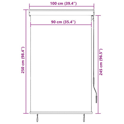 Outdoor Roller Blind 100x250 cm Yellow and Blue