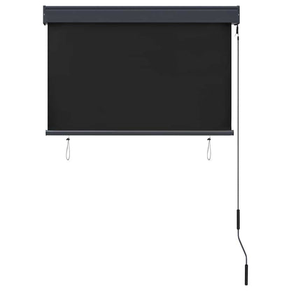 Outdoor Roller Blind | Anthracite