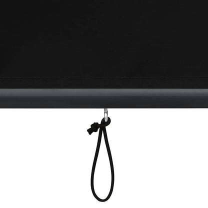 Roller Shade | Anthracite | Polyester with PA Coating | 140x250cm