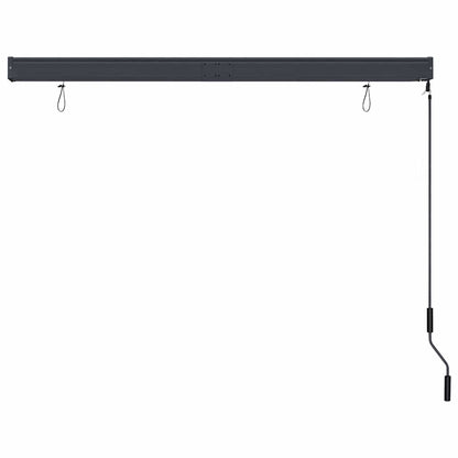 Outdoor Roller Blind 160x250 cm Blue and White