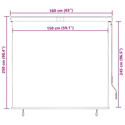 Outdoor Roller Blind 160x250 cm Blue and White