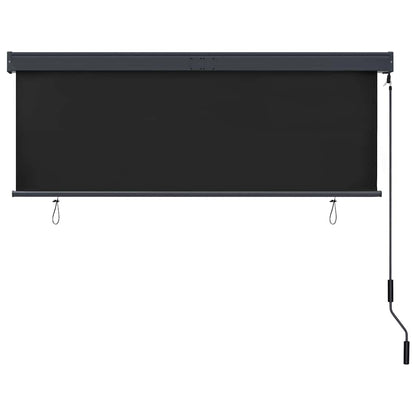 Roller Shade | Anthracite | Polyester | 160x250 cm | Retractable