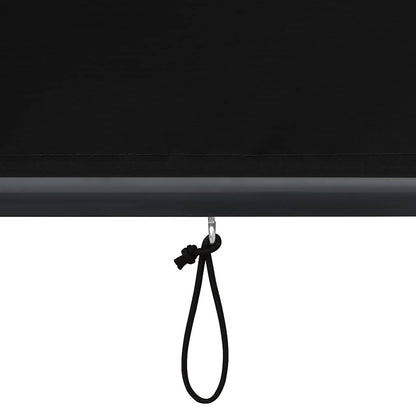 Roller Shade | Anthracite | Polyester | 160x250 cm | Retractable