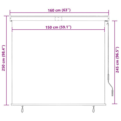 Roller Shade | Anthracite | Polyester | 160x250 cm | Retractable