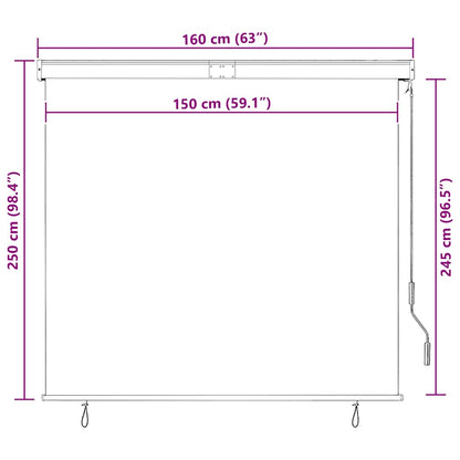 Outdoor Roller Blind 160x250 cm Orange and Brown