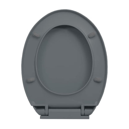 Soft-Close Toilet Seat Grey Oval