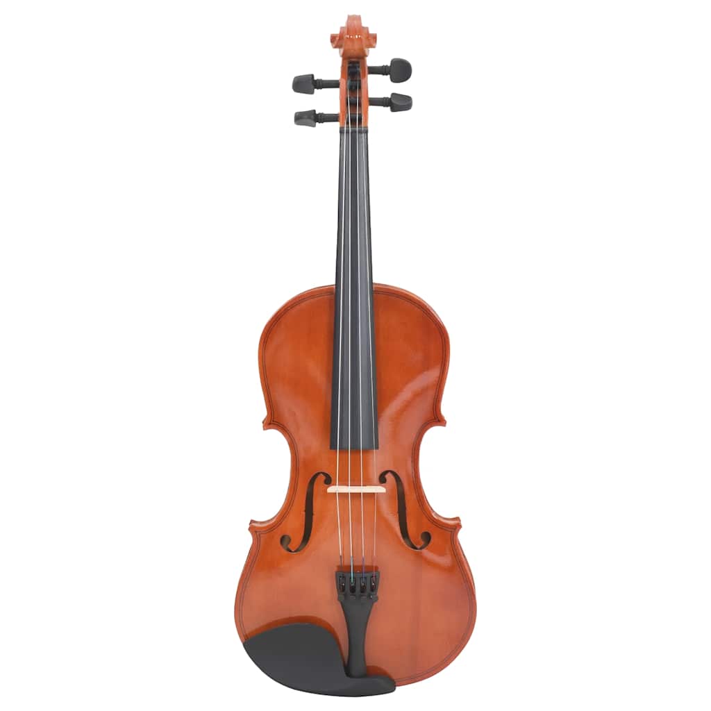 Violin Full Set with Bow and Chin Rest Dark Wood 4/4
