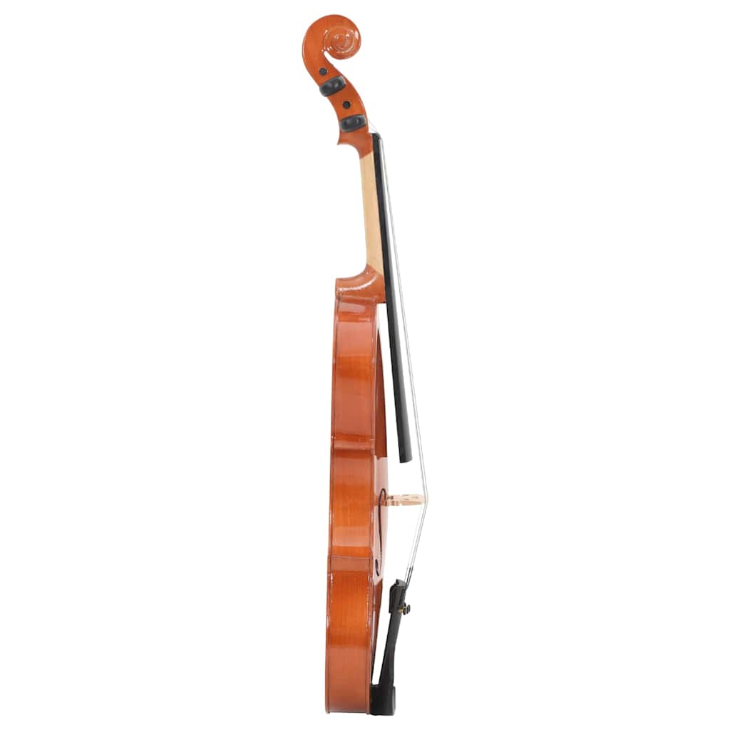 Violin Full Set with Bow and Chin Rest Dark Wood 4/4