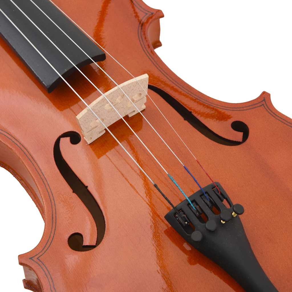 Violin Full Set with Bow and Chin Rest Dark Wood 4/4