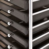 10-Drawer Mobile Storage Trolley Black Plastic