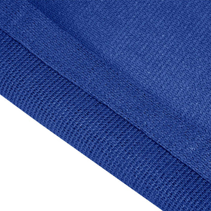 Tent Carpet 300x400 cm Blue HDPE