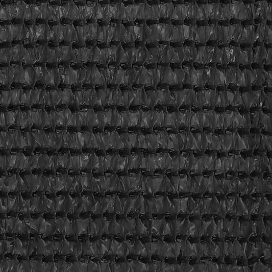 Balcony Screen Anthracite 120x600 cm HDPE
