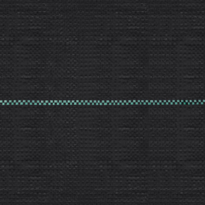 Weed & Root Control Mat Black 2x5 m PP