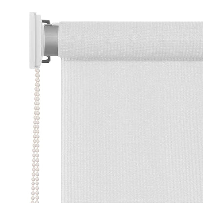 Outdoor Roller Blind White 60x230 cm HDPE