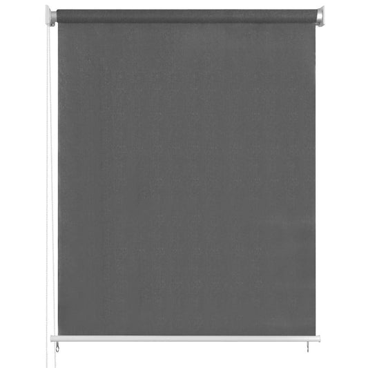 Outdoor Roller Blind 65(W)x230(H) cm Anthracite