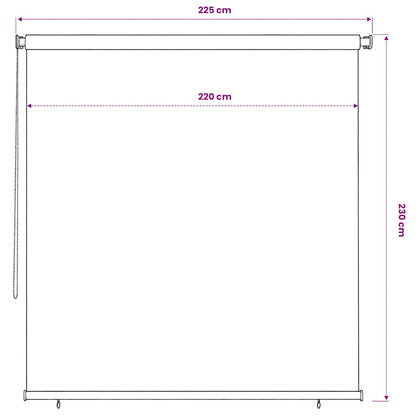 Outdoor Roller Blind 225(W)x230(H) cm Terracotta HDPE