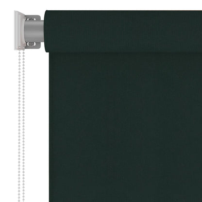 Outdoor Roller Blind 100x230 cm Dark Green HDPE