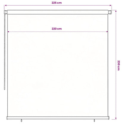 Outdoor Roller Blind 225(W)x230(H) cm Dark Green HDPE