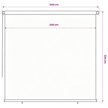 Outdoor Roller Blind 245(W)x230(H) cm Dark Green HDPE