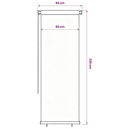 Outdoor Roller Blind 85(W)x230(H) cm Blue HDPE