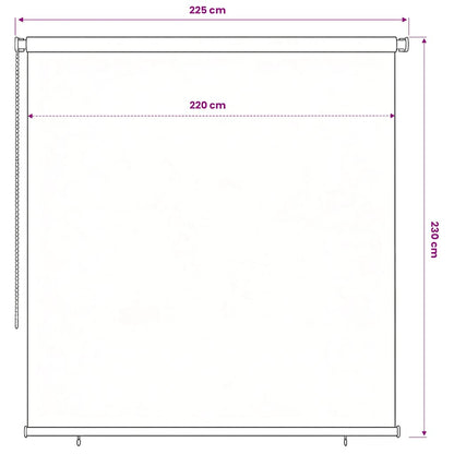 Outdoor Roller Blind 245(W)x230(H) cm Blue HDPE