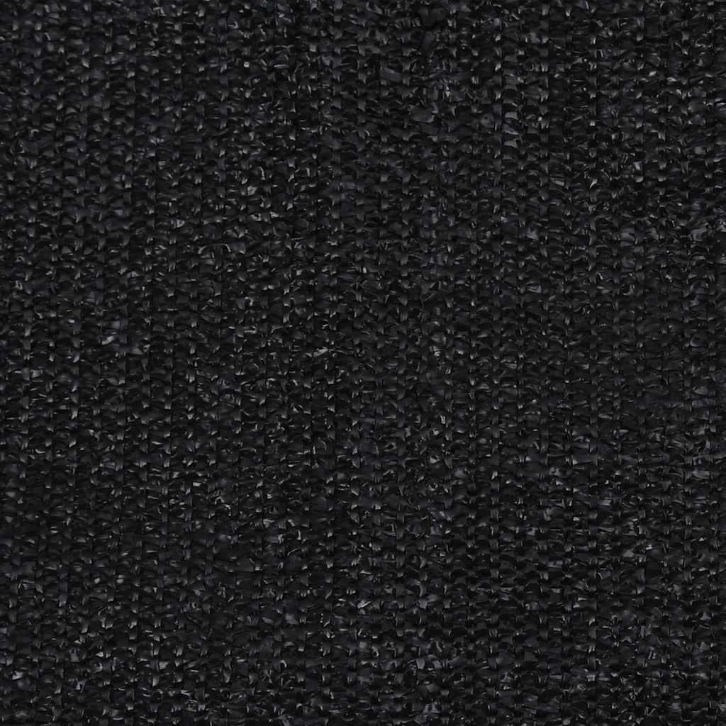 Outdoor Roller Blind 100x230 cm Black