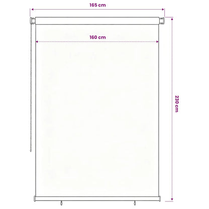 Outdoor Roller Blind 165(W)x230(H) cm Black