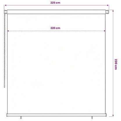Outdoor Roller Blind 225(W)x230(H) cm Brown HDPE