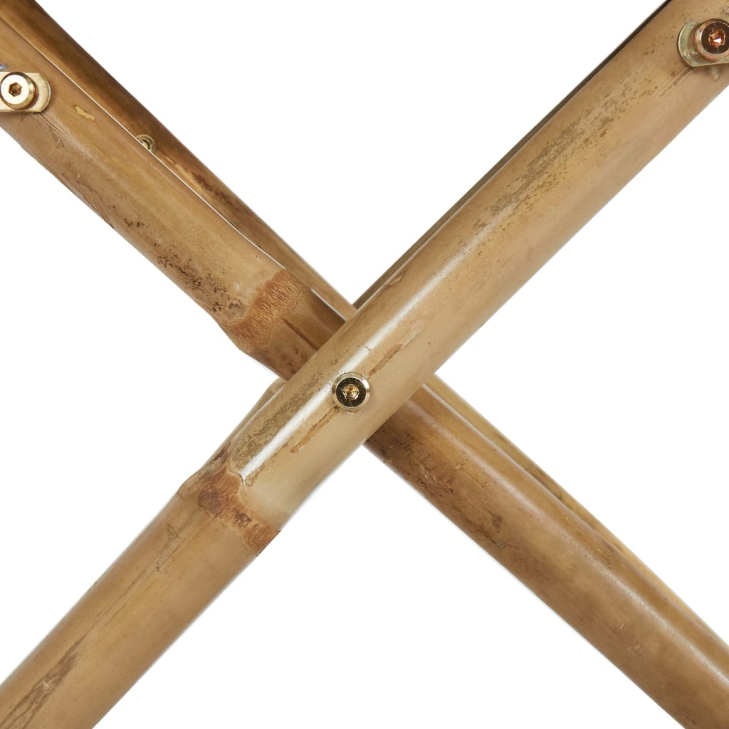 Director's Chair Set of 2 Blue Bamboo Standard Foldable