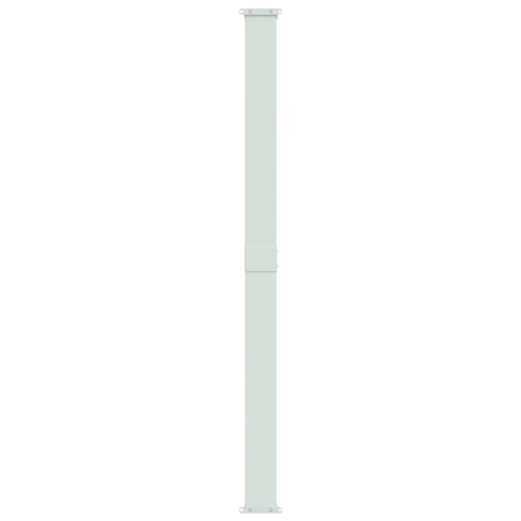Patio Retractable Side Awning 200x300 cm Black